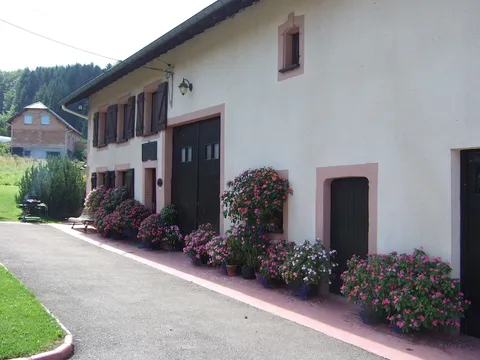 Les fleurs le long de la façade, côté jardin