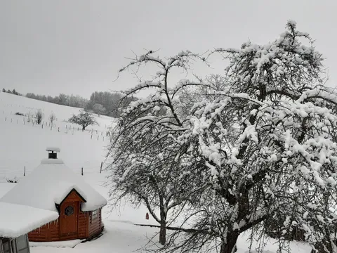 L’arbre du jardin et le chalet sous la neige