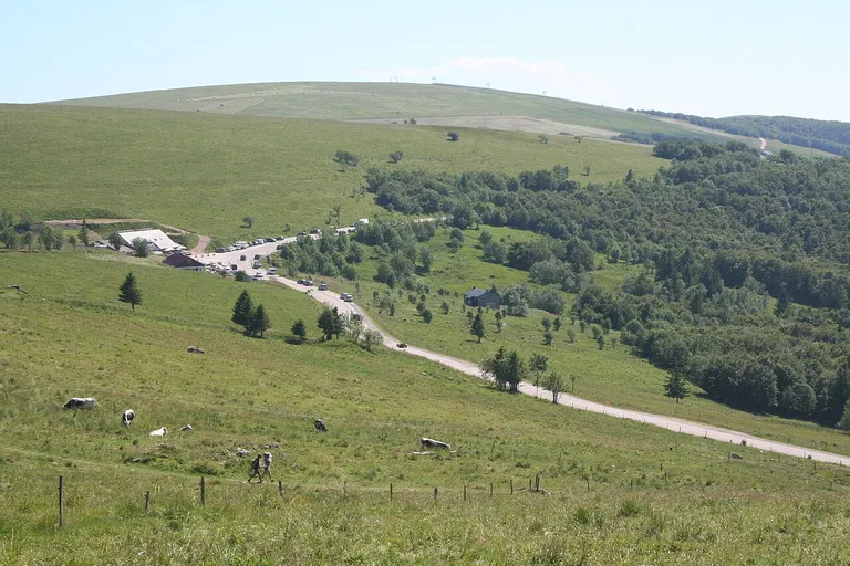 La route des Crêtes traverse les pentes herbeuses sous le Hohneck