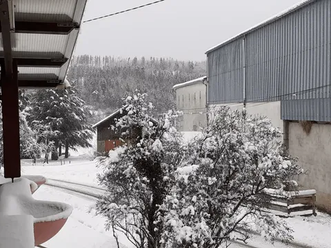 La vue depuis la terrasse sur le jardin enneigé